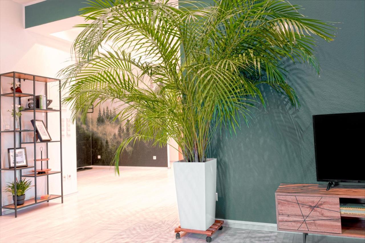 ליפשטאדט Hama Design Homes מראה חיצוני תמונה